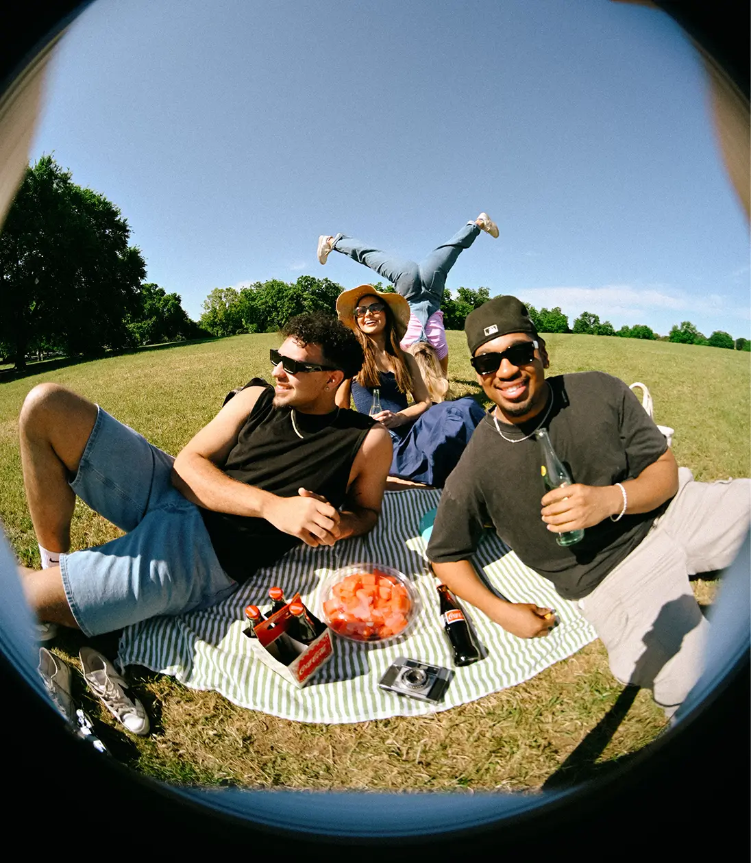 friends having a picnic