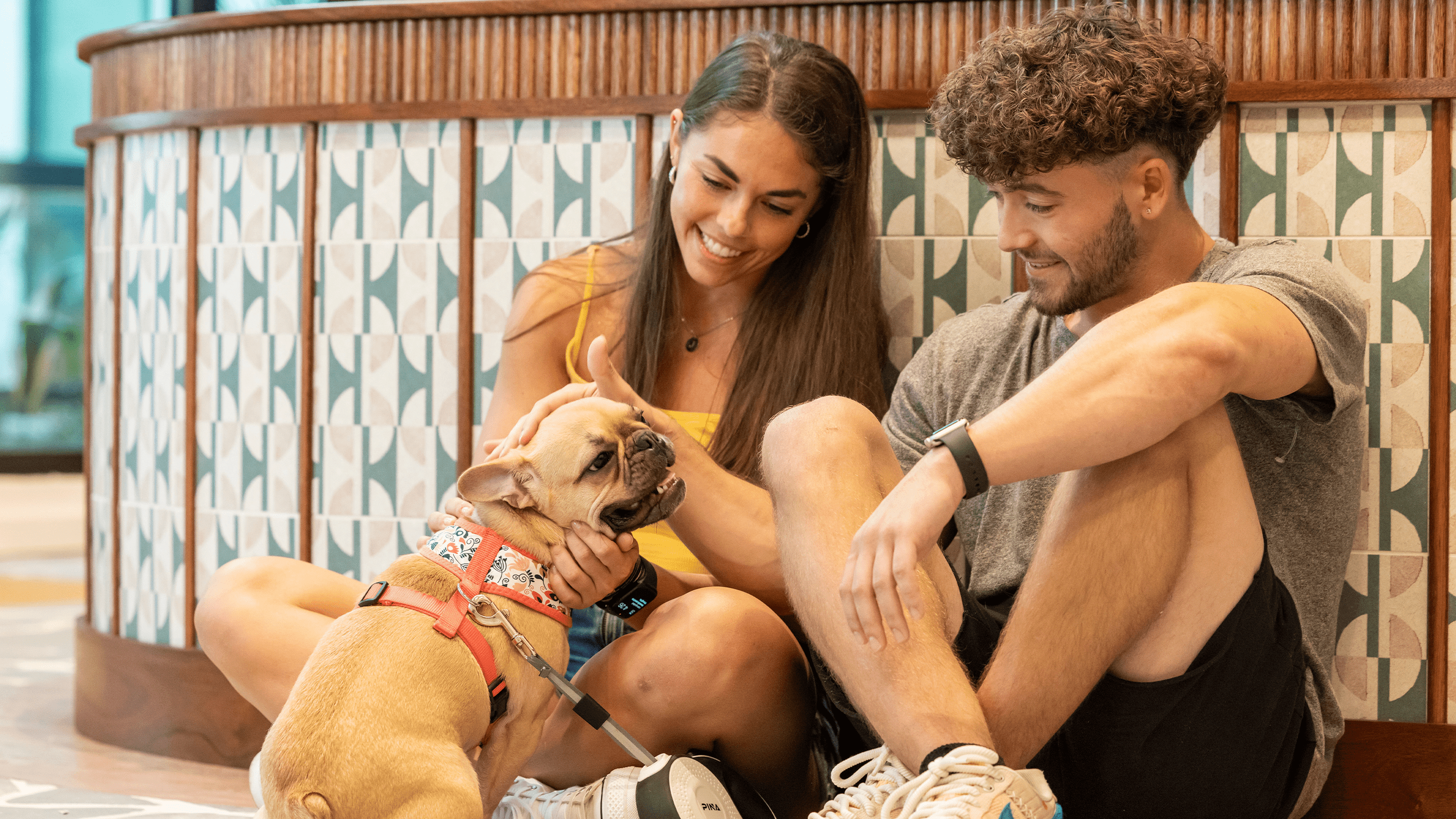 people petting a dog