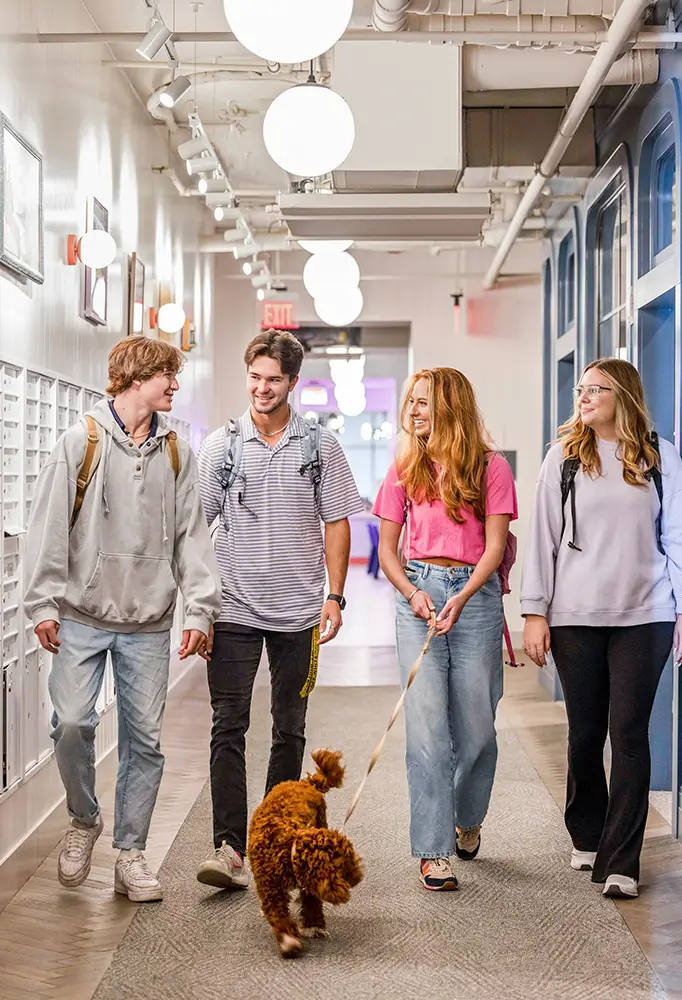friends walking a dog
